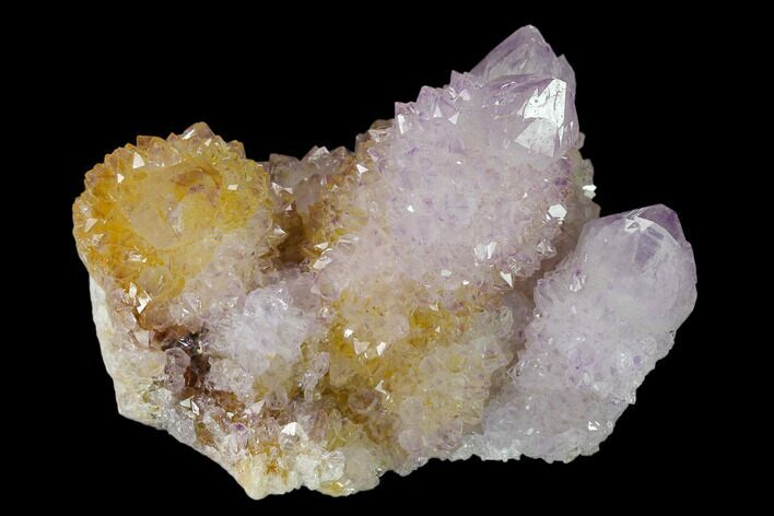 Cactus Quartz (Amethyst) Crystal Cluster - South Africa #137786